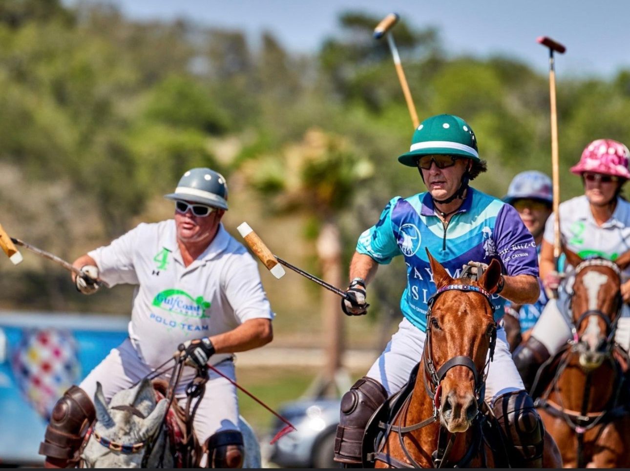 K&H Equine gallery photo 12