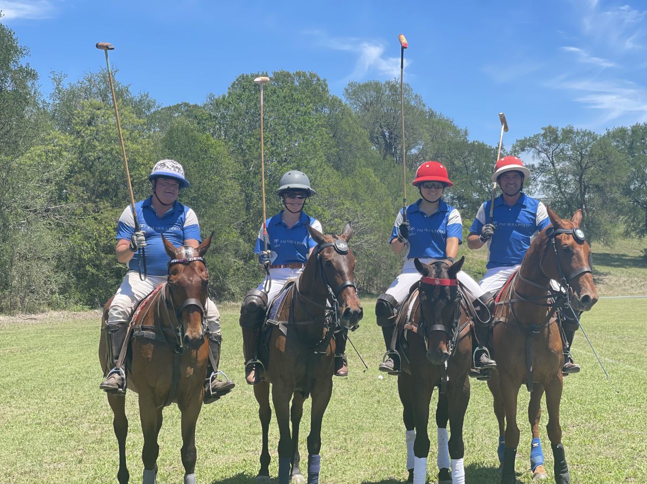 K&H Equine gallery photo 13