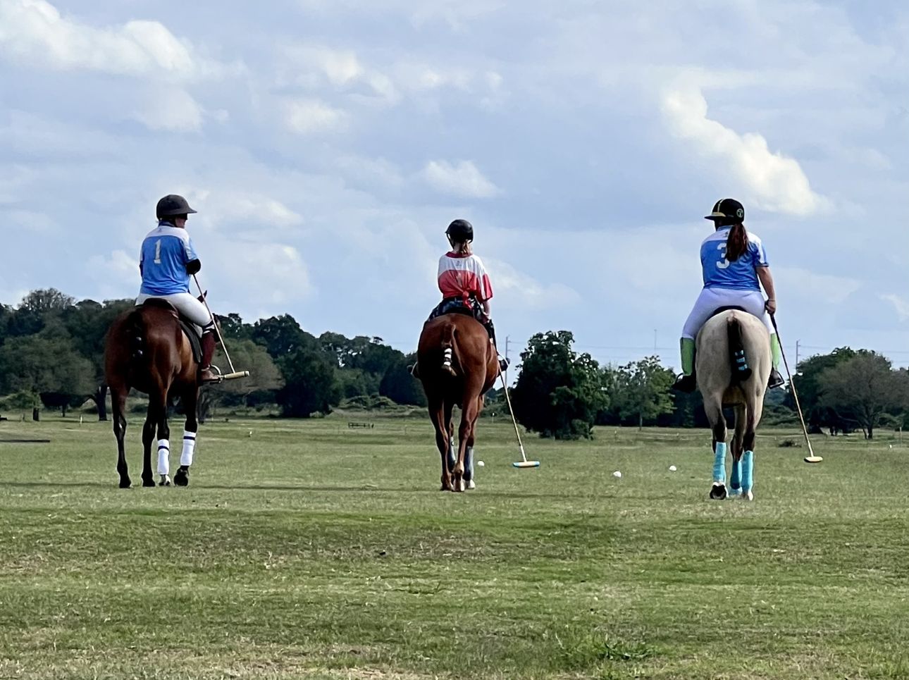 K&H Equine gallery photo 14