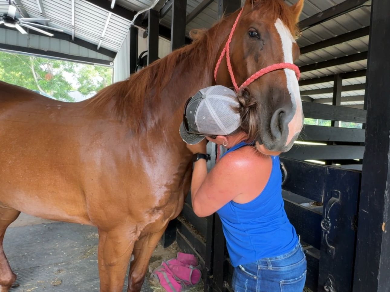K&H Equine gallery photo 3