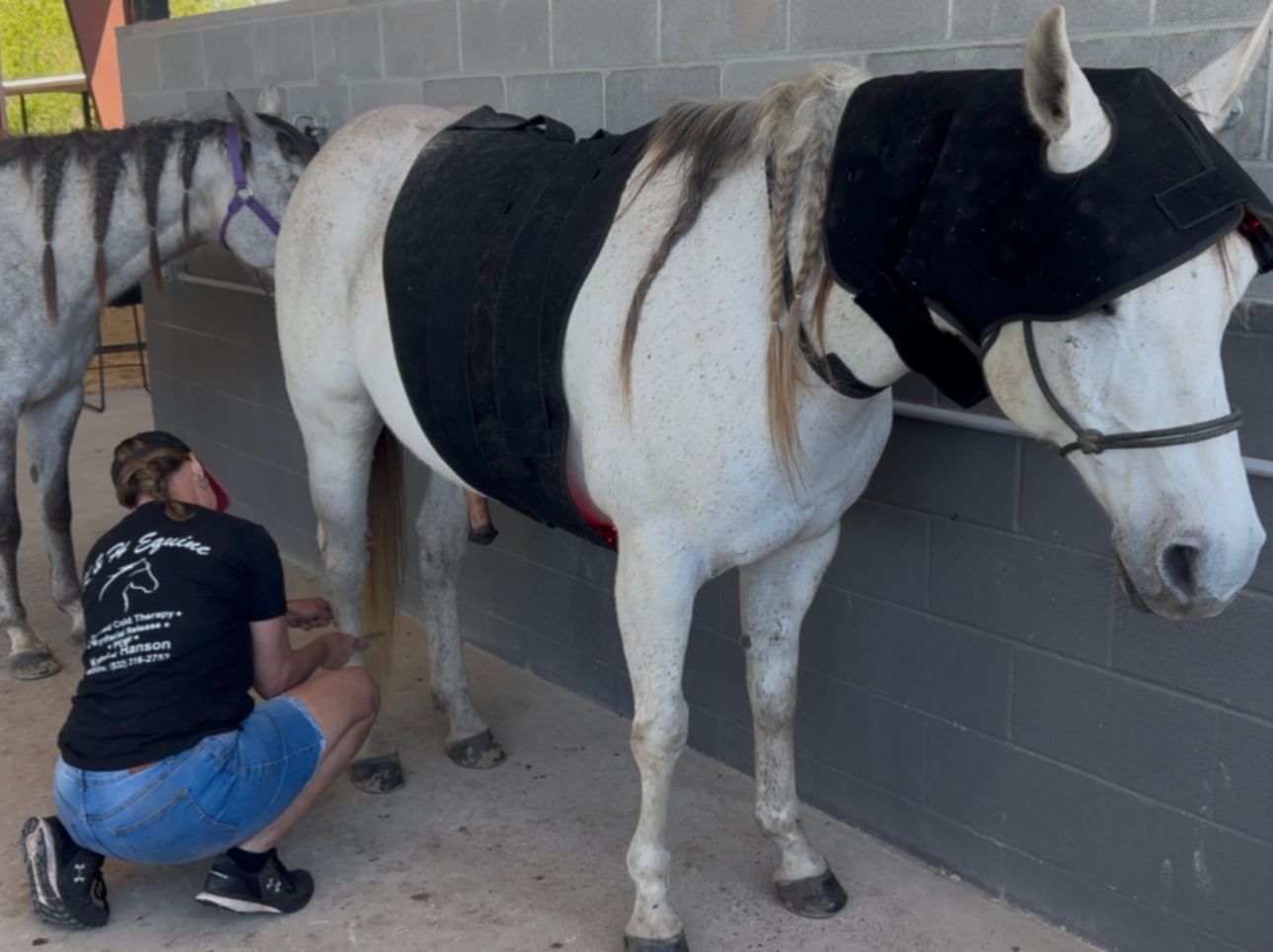K&H Equine gallery photo 4