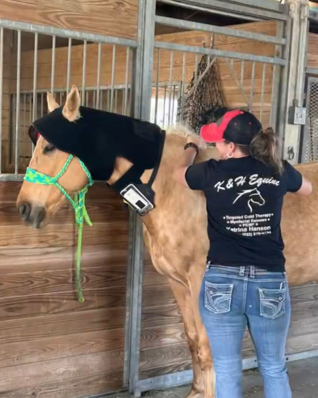 K&H Equine barn call session with horse